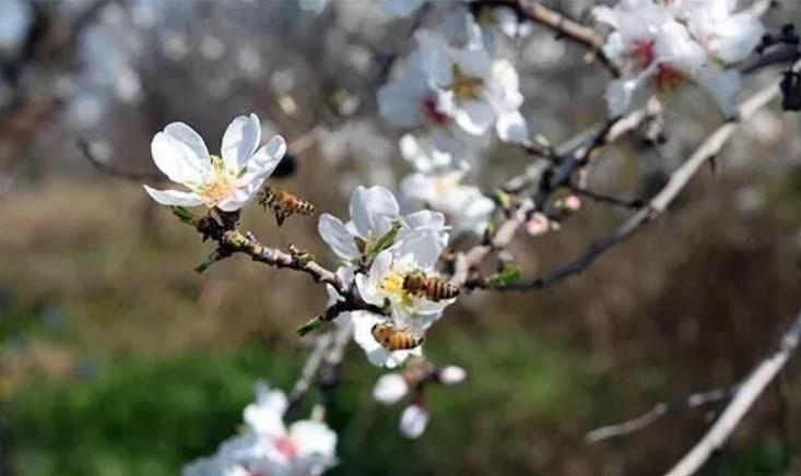 nevruz-bayrami-resmi-tatil-mi-oldu-nevruz-bayrami-ne-zaman-kutlanir-eIAgQxH6.jpg